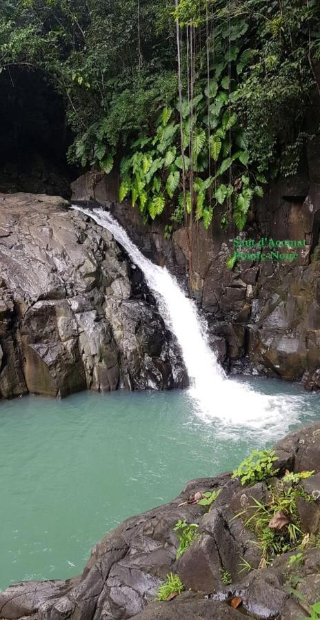 Campeche Villa Bouillante
