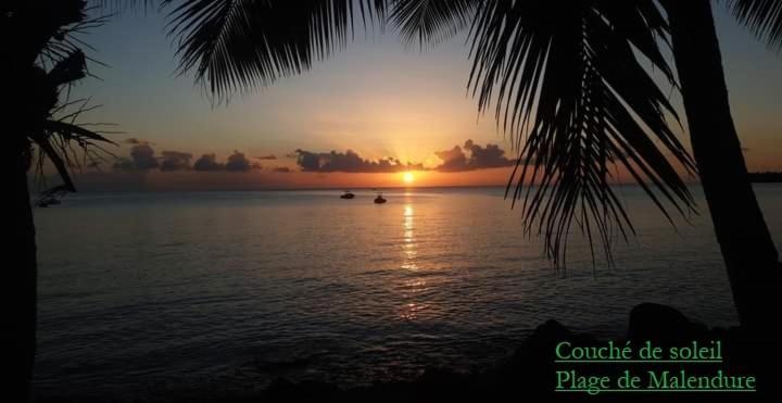 Campeche * Bouillante